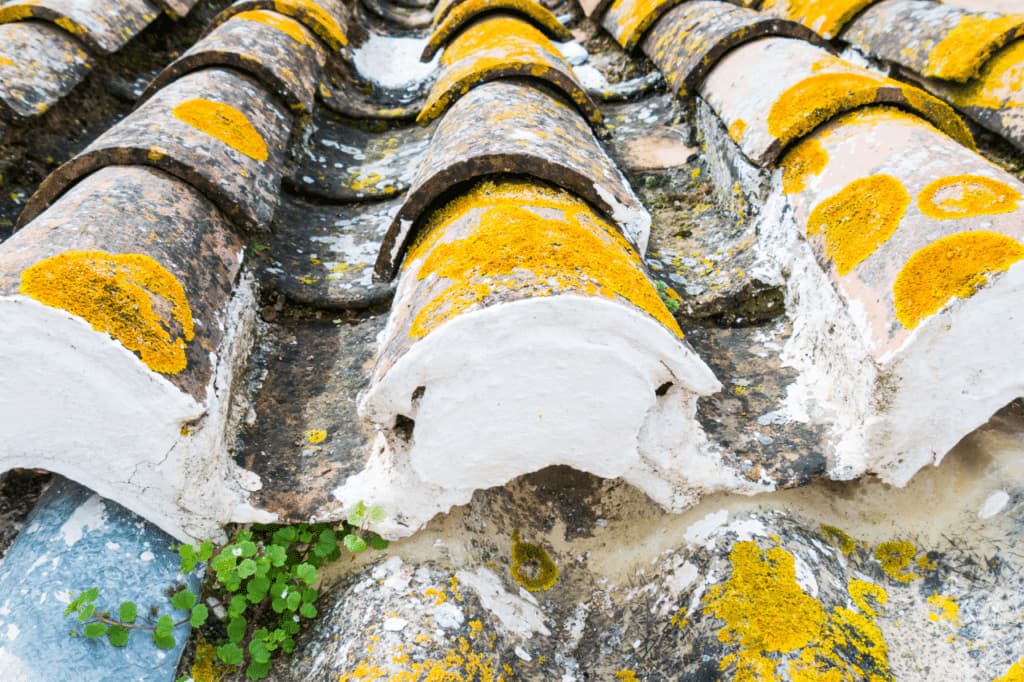 smaltimento tetto eternit vicino casa