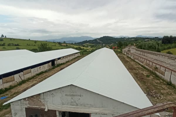 castaldi